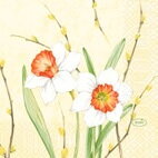 Obrúsky Daffodil Joy 3vr. 24x24cm 50ks/bal 20bal/krt
