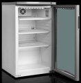 Chladiaca skriňa TEFCOLD BC 145 WF 