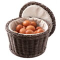 Kôš na vajíčka,termo ratan D26cm V17 APS 30299