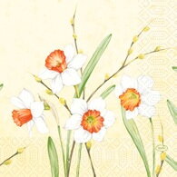 Obrúsky Daffodil Joy 3vr. 33x33cm 50ks/bal 10bal/krt