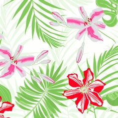 Obrúsky Tropical Lily Classic 40x40cm 50ks/bal 6bal/krt