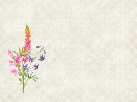 Prestieranie Floret DNCL 30x40cm 100ks/bal 5bal/krt