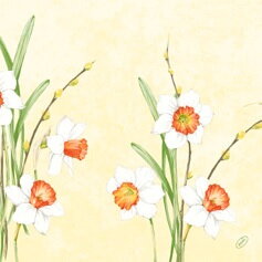 Obrúsky Daffodil Joy Classic 40x40cm 50ks/bal 6bal/krt