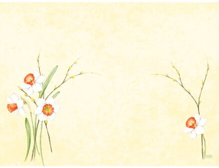  Prestieranie Daffodil Joy DNCL 30x40cm 100ks/bal 5bal/krt