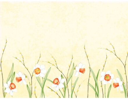 Prestieranie Daffodil Joy Papierové 30x40cm 250ks/bal 4bal/krt