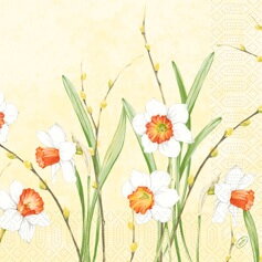 Obrúsky Daffodil Joy 3vr. 40x40cm 250ks/bal 4bal/krt