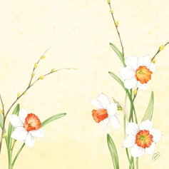 Obrúsky Daffodil Joy Dunisoft 40x40cm 60ks/bal 6bal/krt