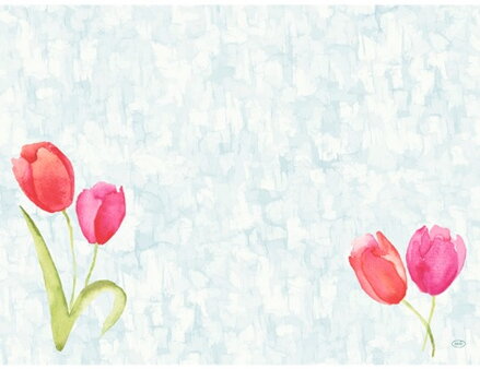 Prestieranie Painted Tulips Bio DNCL 30x40cm 100ks/bal  5bal/krt