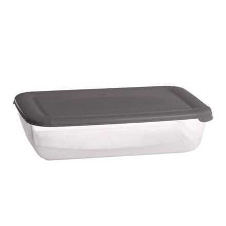 Box na zákusky 24x33x8,5cm plast