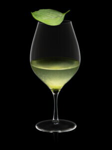 TRIBUTE Cuvée kalich 340ml RONA* TS  6OK/24/PK