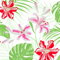 TROPICAL LILY