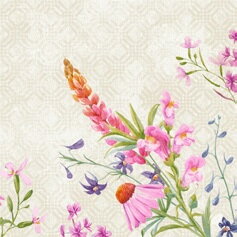 Obrúsky Floret Classic 40x40cm 50ks/bal 6bal/krt