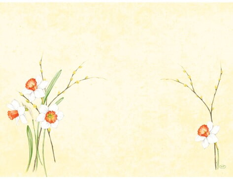  Prestieranie Daffodil Joy DNCL 30x40cm 100ks/bal 5bal/krt