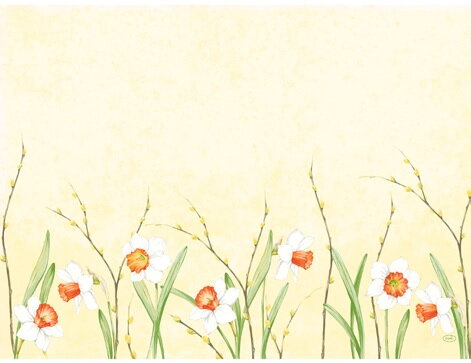 Prestieranie Daffodil Joy Papierové 30x40cm 250ks/bal 4bal/krt