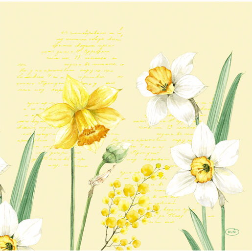 Obrúsky Dunisoft 40cm Spring Daffodil 12ks/bal 12bal/krt