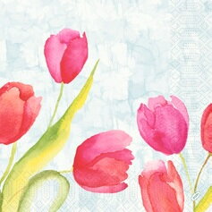 Obrúsky Painted Tulips 3vr. 40x40cm 250ks/bal  4bal/krt
